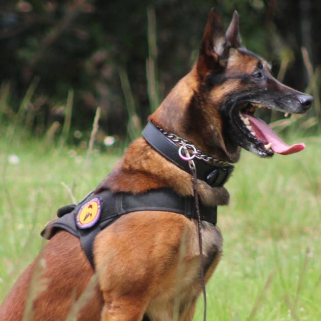 Adobe Express - file (1)